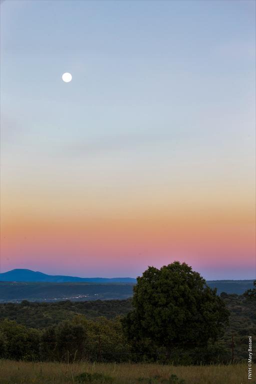 Eco-Lodge En La Reserva Privada Campanarios De Azaba - Proyecto De Conservacion Эспеха Экстерьер фото