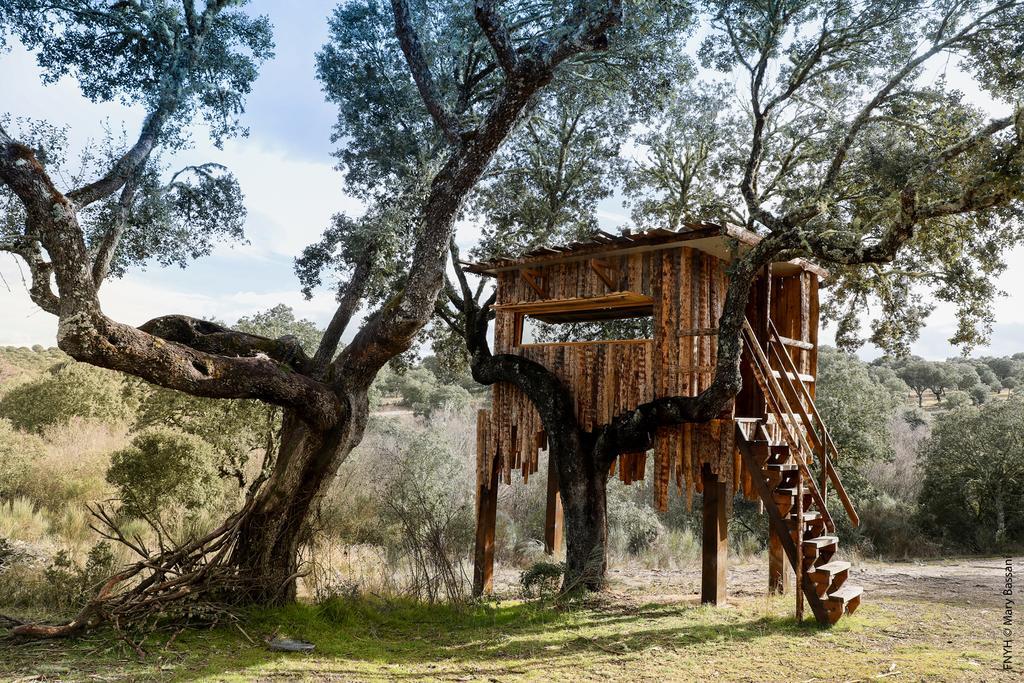 Eco-Lodge En La Reserva Privada Campanarios De Azaba - Proyecto De Conservacion Эспеха Экстерьер фото